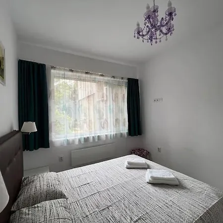 Lovely 1-bedroom With Patio Sofía