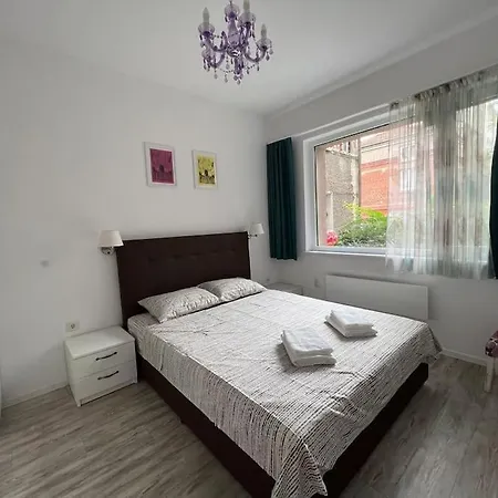 Lovely 1-bedroom With Patio Sofía